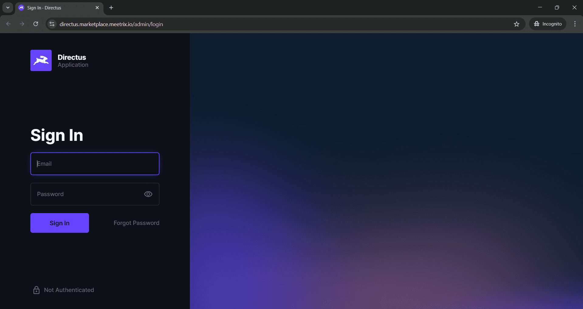 Directus login page