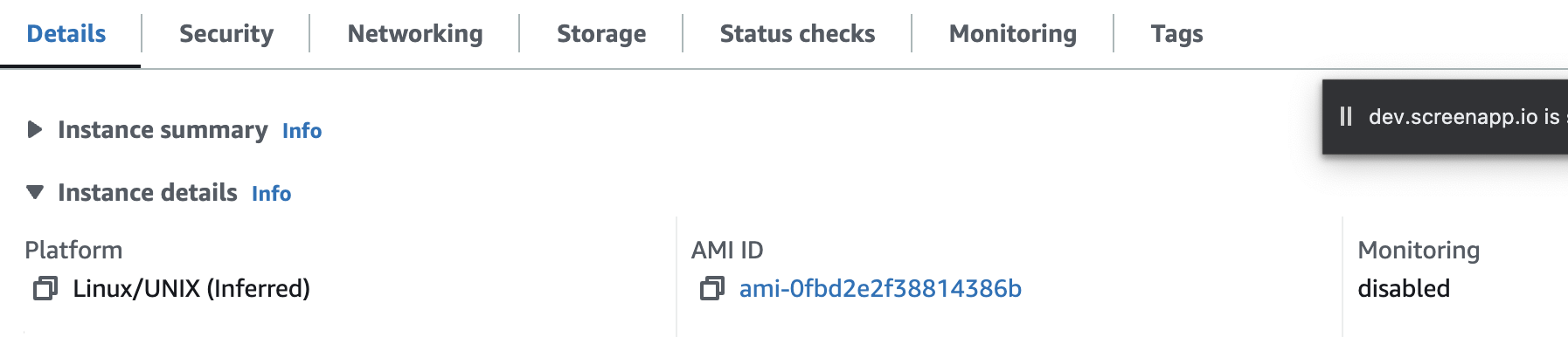 Instance details showing AMI ID