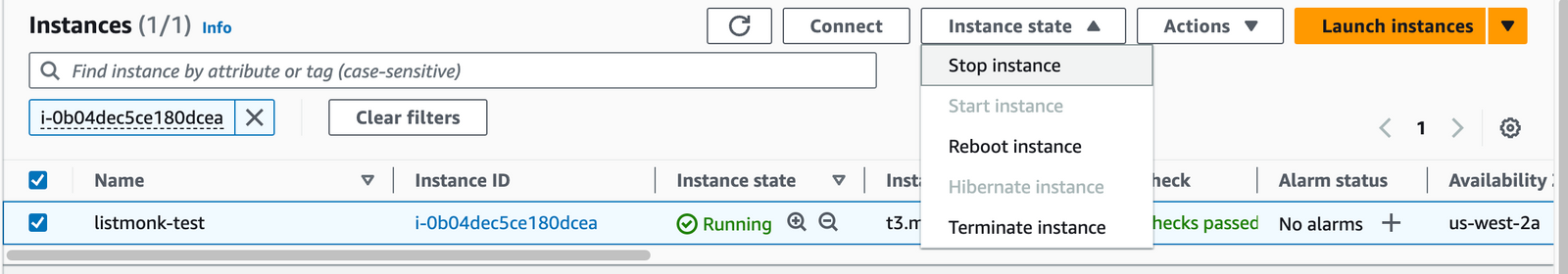 Stopping the Listmonk EC2 instance