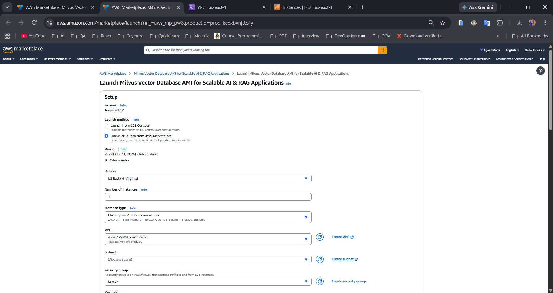 One-click launch configuration showing instance type, VPC, and subnet selection for Milvus