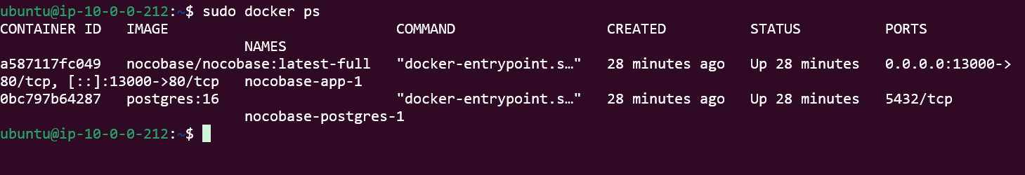 Check NocoBase container logs