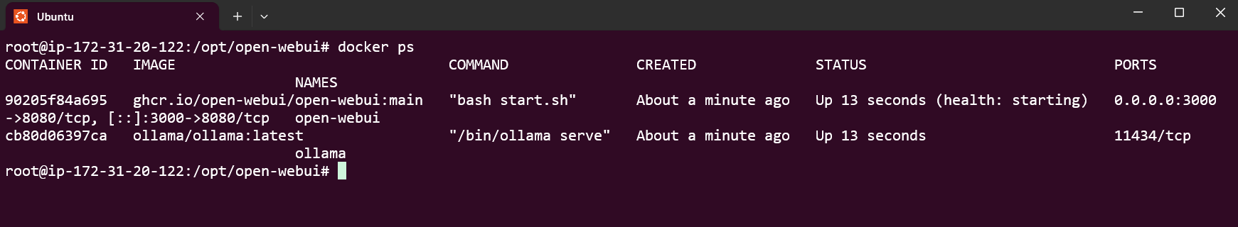 Check Open WebUI container logs