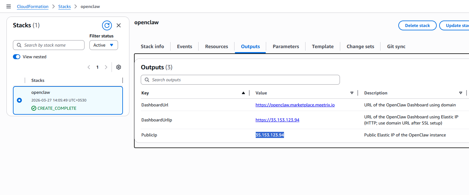Copy Public IP