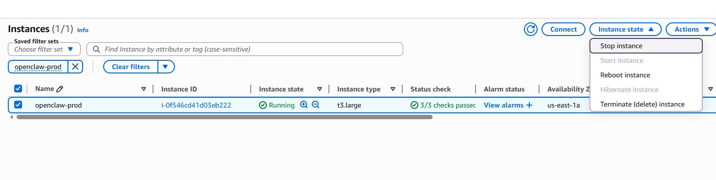 Stop the OpenClaw instance