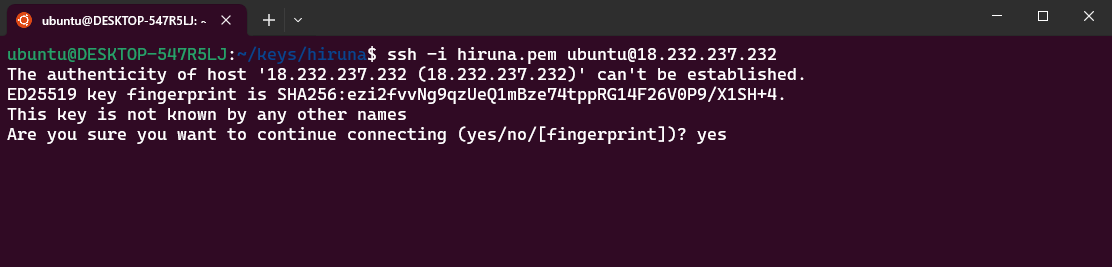 Logging into Strapi server via SSH