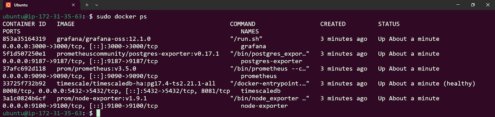Terminal sudo docker ps output listing the running grafana, postgres-exporter, prometheus, timescaledb and node-exporter containers